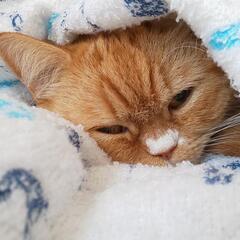 気軽にお話しておつき合いして下さる方