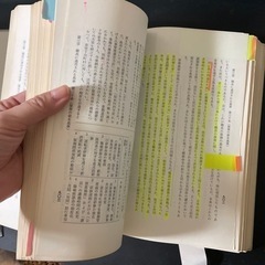 地方公務員法逐条解説の画像