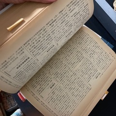 法律用語辞典の画像