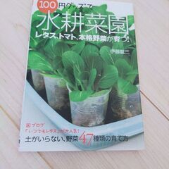 水耕菜園　本