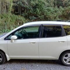 フィットの画像