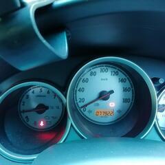 フィットの画像