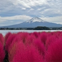 【平日 カメラ友📸募集]