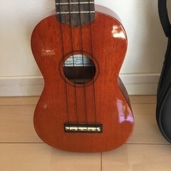 アリア　ウクレレの画像