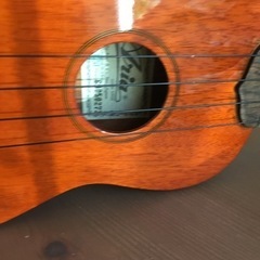 アリア　ウクレレの画像