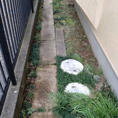 飛石も沢山 あります