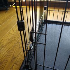 犬用ケージ　お話中