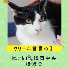 イケメンの甘えん坊くん【譲渡会参加】