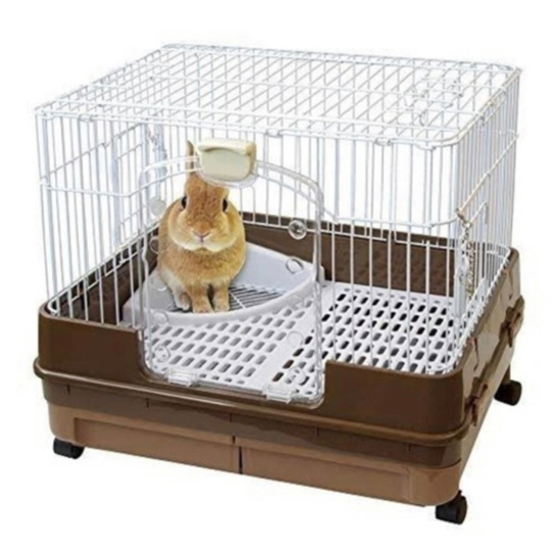 うさぎ飼育セット