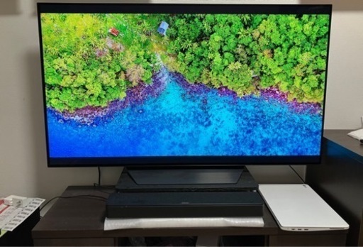 LG 55インチ 4K 有機EL テレビ