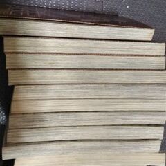 名探偵コナン　特別篇　早い者勝ち画像分オマケつきの画像
