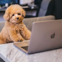 ご自宅で出来るデータ送信のお仕事