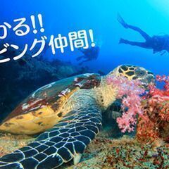 12月15日（金）クリスマスが近い！海好き・ダイビング好き交流会！☆★海好き、ダイビング好き集まれ～♪ - 渋谷区