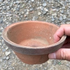 素焼き植木鉢 10個セット 4.5号 浅鉢