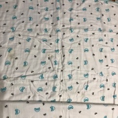 aden + anais (エイデンアンドアネイ)ブランケット中古品