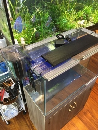 ばら売りします、ご相談ください。水槽/水槽台/タイマー付きLEDライトセットW60cm x D30cm x H62cm水槽台 自作品丈