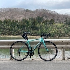 Bianchi ロードバイク vianirone 2020年モデルの画像