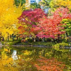 11月20日(日)10:30~慶喜公、渋沢栄一の墓標、寛永寺を巡...