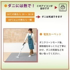 新品　未開封品　2畳相当☆KODEN VWU207M 電気カーペットの画像