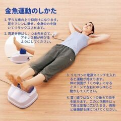 ゆらゆらスイングマシーン　(金魚運動)　未使用の画像