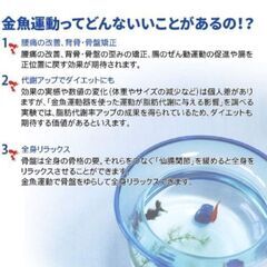 ゆらゆらスイングマシーン　(金魚運動)　未使用の画像