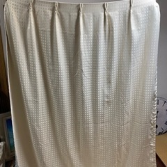 カーテン① 2枚組