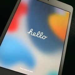 iPad mini 4 128GB WiFi+cellular