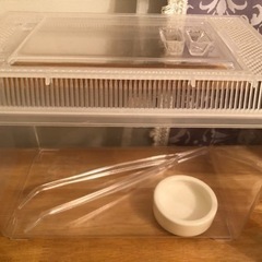 多数、お問合せを頂いたため出品停止中です。昆虫類または爬虫類グッ...