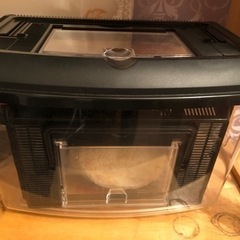 多数、お問合せを頂いたため出品停止中です。昆虫類または爬虫類グッズ（11月10日くらいまで）の画像