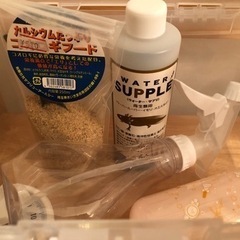多数、お問合せを頂いたため出品停止中です。昆虫類または爬虫類グッズ（11月10日くらいまで）の画像