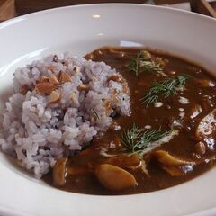 カフェ・ランチ仲間募集！