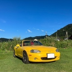 11月8日（火）にツーリングします(￣▽￣) - 鳥取市