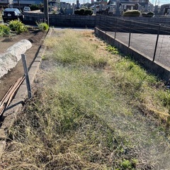 🥦🥦草刈り、剪定業者を見直してみませんか❓無料見積もり🫑🫑 - 剪定/造園