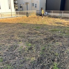 🥦🥦草刈り、剪定業者を見直してみませんか❓無料見積もり🫑🫑 - 地元のお店