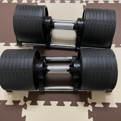 可変式ダンベル　フレックスベル
