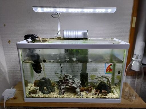 熱帯魚　水槽　全部あるものまとめて