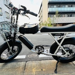 ブロンクスバギー ポリッシュ　e-bike ネット決済可