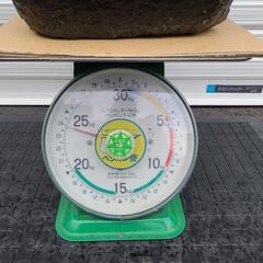 石の水受け？の画像