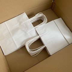 【未使用】紙袋23枚（無地）
