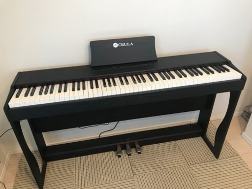 CASIO 電子ピアノ PX-760