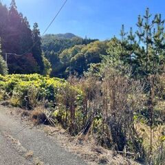 🏡 安佐北区白木町大字志路　売土地　陽だまりのなか家庭菜園はいかがでしょうか？ - 不動産