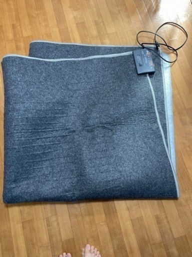 ニトリ 二畳用ホットカーペット　中古