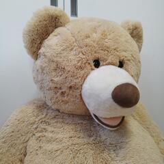 135cm コストコ限定 ハグミービッグベア！の画像