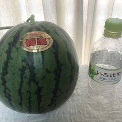 農家直送！秋スイカSSサイズ3〜4キロ限定！1200円！！