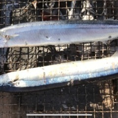 🌈🌈✨郡山で遊び隊🌈🌈✨11月27日おでんと秋秋刀魚食べよう会！...
