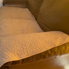 【敷シート付き】2、3人掛けソファの画像