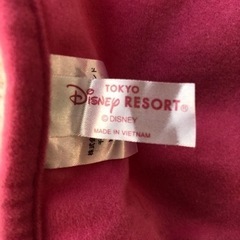 DisneyLand購入　希少　の画像