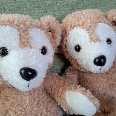 ダッフィー　ぬいぐるみ　２体セットでの画像