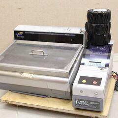 絵画油彩画女性塩見恭央「Good bye summer2 ミズキ」