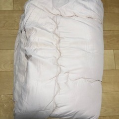 掛布団　シングル